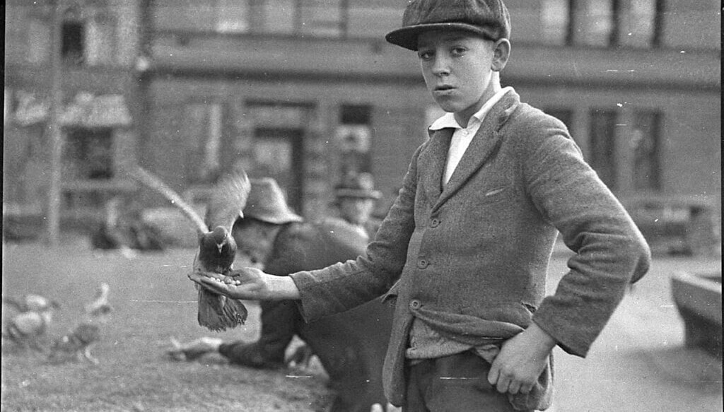 Boy with pigeon to represent event email marketing